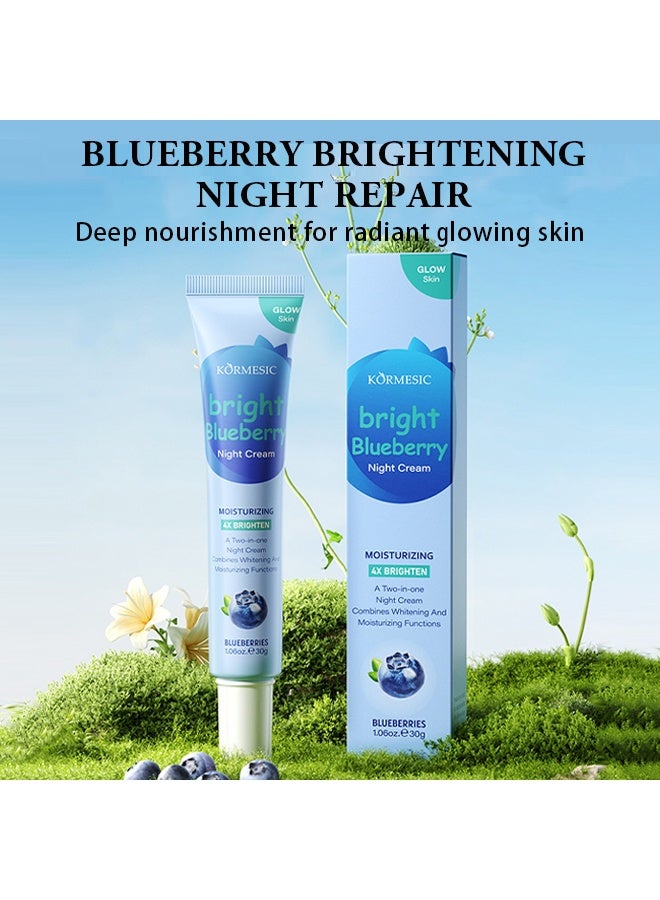 Kormesic Bright Blueberry Night Cream, Facial Moisturizer Barrier Cream for Hydration Moisture & Vitality 30g - Image 2